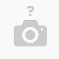 Miele Miele SKCR3 Blizzard CX1 Cat&Dog мангово-красный Пылесос