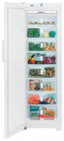 Liebherr Liebherr SGN 3010 Однокамерный холодильник