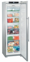 Liebherr Liebherr SGNes 3010 Однокамерный холодильник