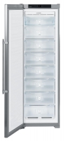 Liebherr Liebherr SGNesf 3073 Однокамерный холодильник